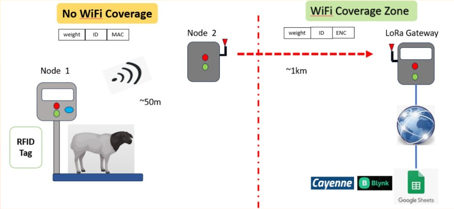 DorperNet farm deployment and weighing station