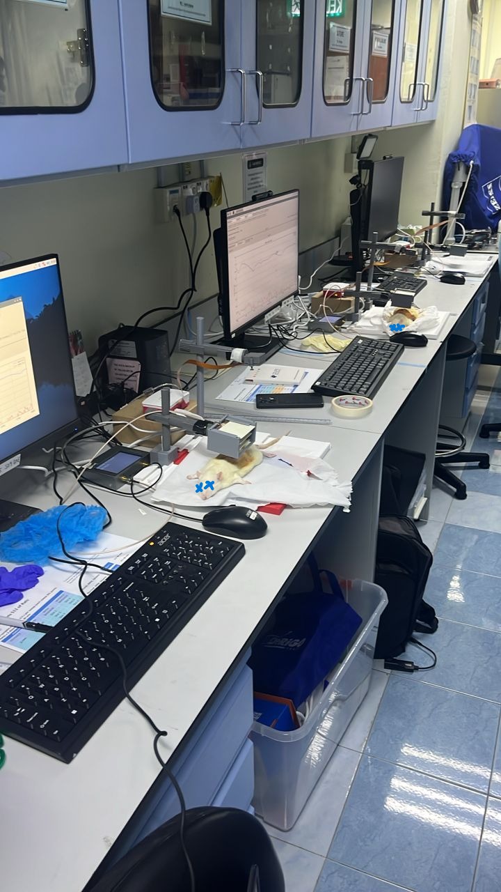 Microwave wound monitoring lab setup
