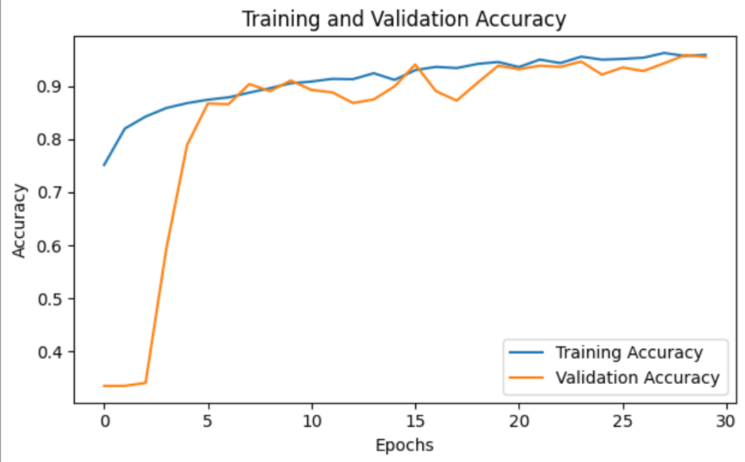 Training and validation curves